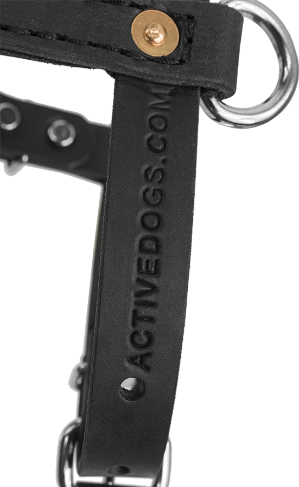 Small Dog Heavy Duty Leather Harness - Image 3