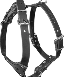 Small Dog Heavy Duty Leather Harness