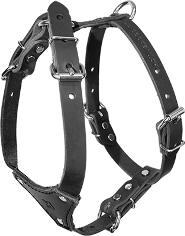 Small Dog Heavy Duty Leather Harness