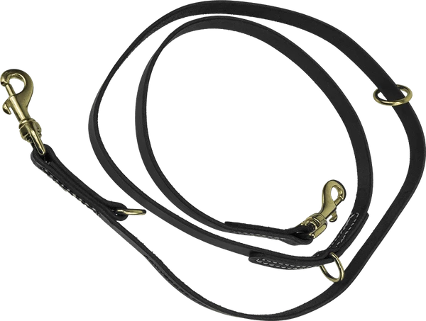 Floating Ring Leather Dog Leash 6'