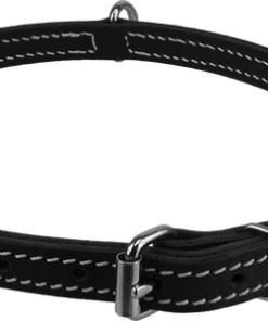 Center D-Ring Leather Dog Collar 3/4"