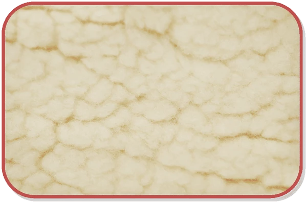 5 Lb Dog Weight Collar - Image 3