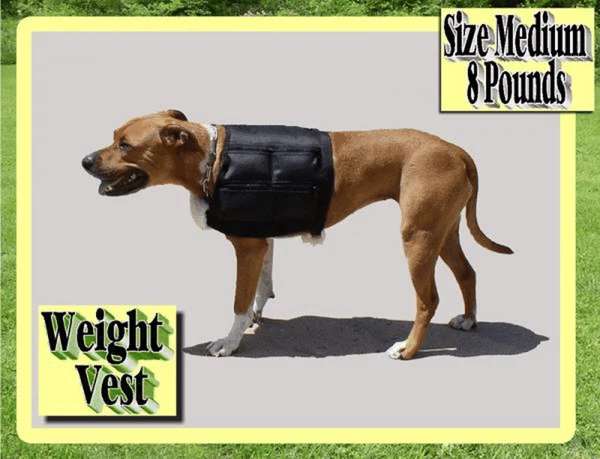 8 Lb Dog Weight Vest - Medium - Image 4