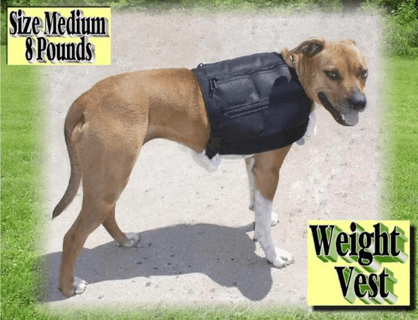 8 Lb Dog Weight Vest - Medium - Image 3