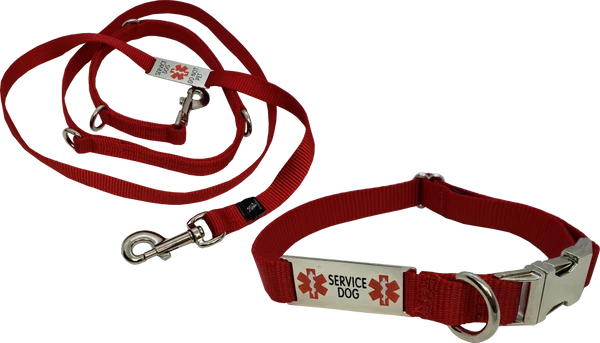 Service Dog Hands-Free 7' Leash & Collar W/ Chrome Service Dog ID Tag - Image 2
