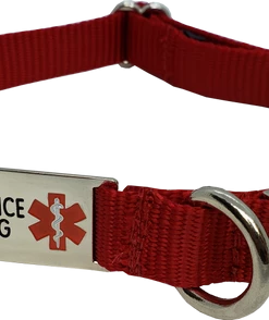 Service Dog Collar W/ Chrome Service Dog ID Tag
