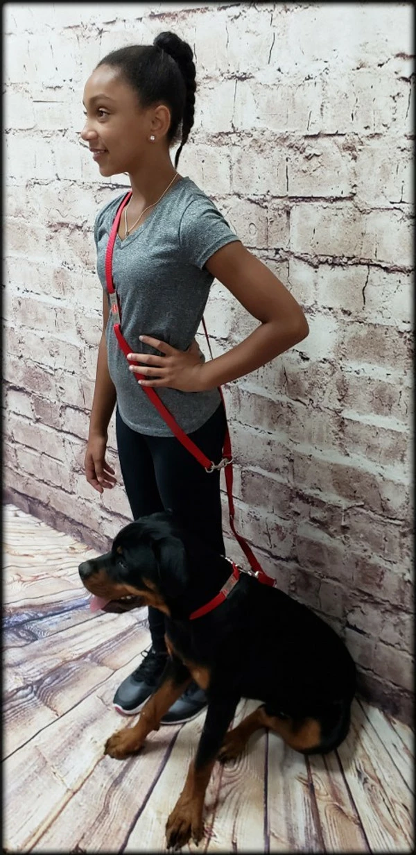 Hands Free 7' Leash W/ Chrome Service Dog ID Tag - Image 7