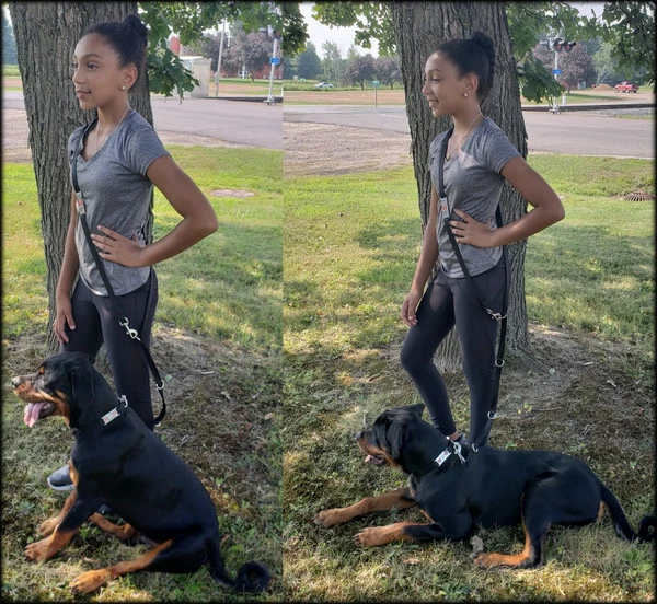 Hands Free 7' Leash W/ Chrome Service Dog ID Tag - Image 3