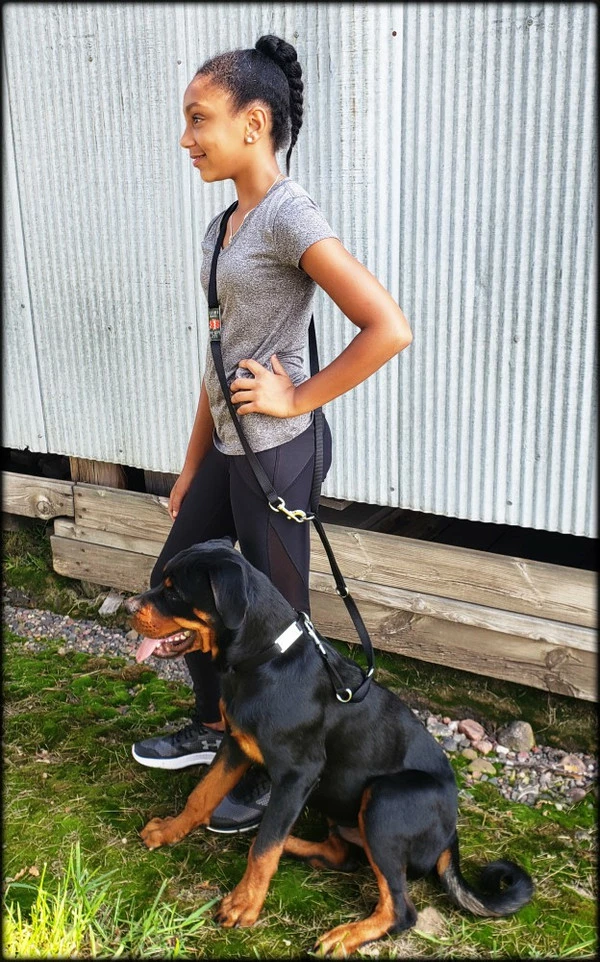 Hands Free 7' Leash W/ Chrome Service Dog ID Tag - Image 9