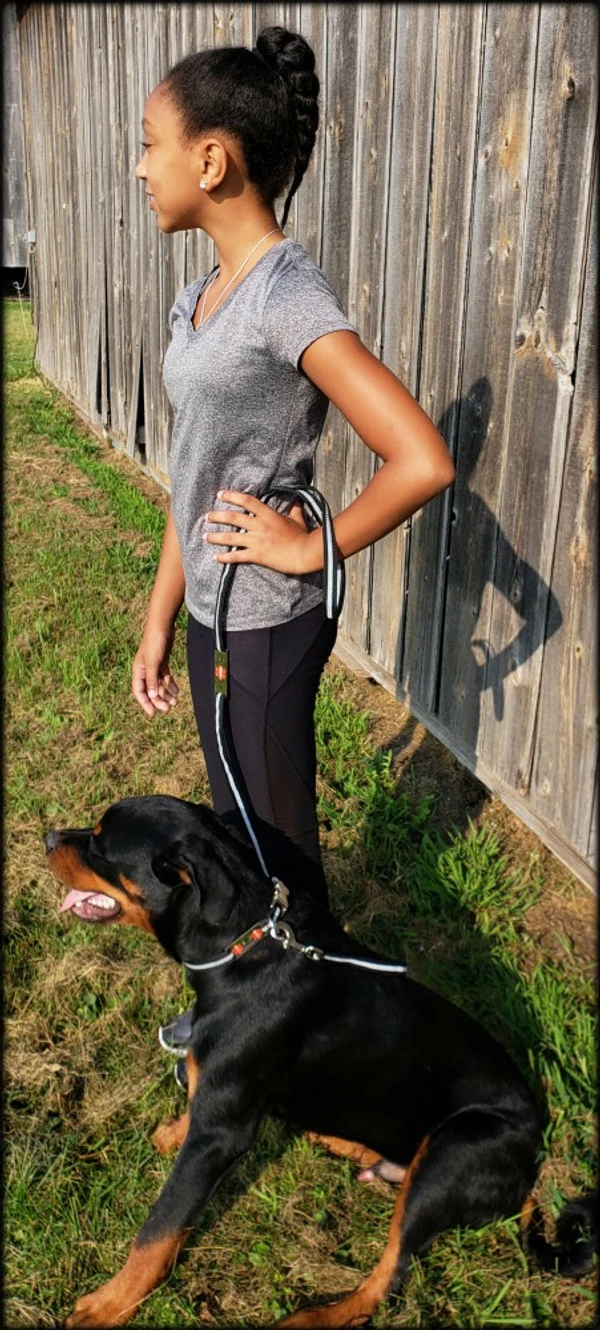 Reflective Service Dog 5' Leash W/Chrome Service Dog ID Tag - Image 5