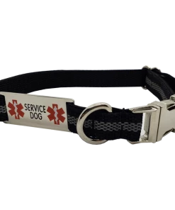 Reflective Service Dog Collar W/Chrome Service Dog ID Tag