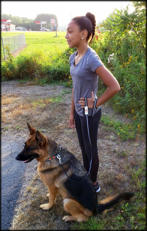 Reflective Service Dog 5' Leash & Collar W/Chrome Service Dog ID Tag - Image 2