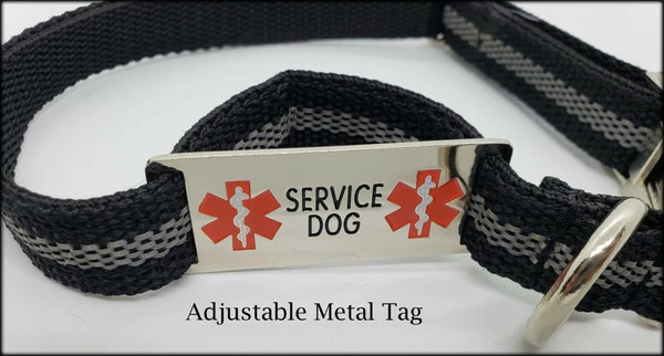 Reflective Service Dog 5' Leash & Collar W/Chrome Service Dog ID Tag - Image 8