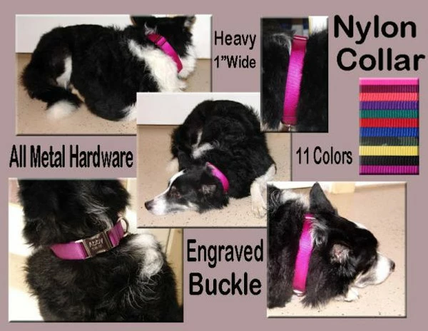 Nylon Dog Collars - 1" - Image 4