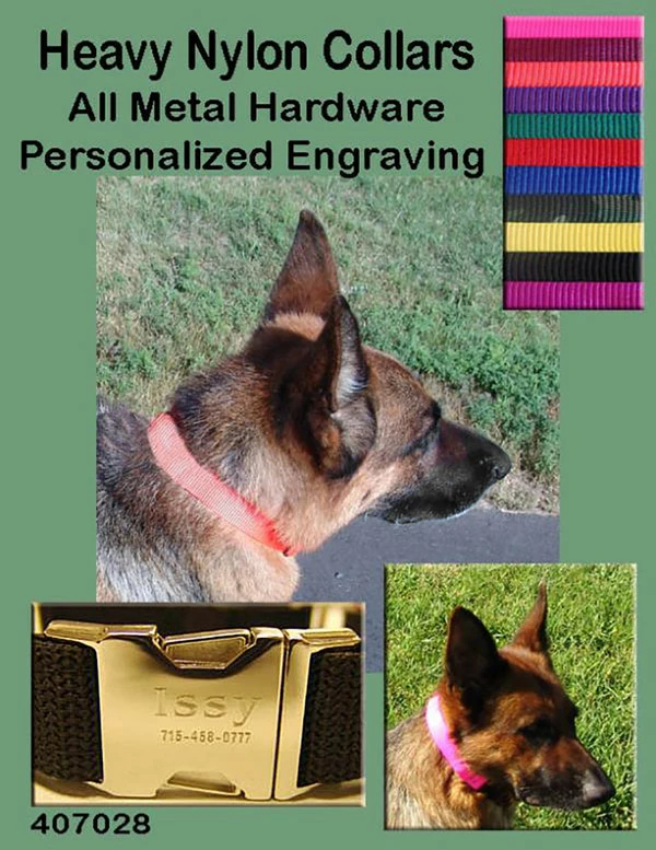 Nylon Dog Collars - 1" - Image 5