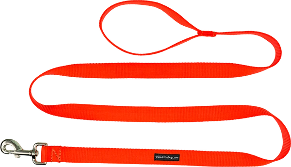 Heavy Nylon Leash