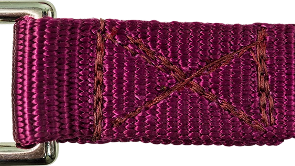 Heavy Nylon Leash - Image 5