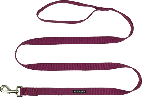 Heavy Nylon Leash - Image 4