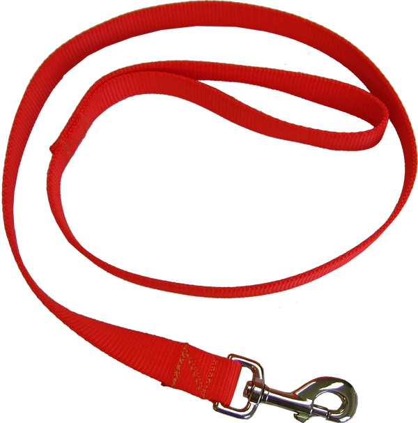 Heavy Nylon Leash - Image 2