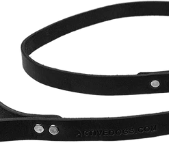 Leather Dog Leash 3/4"