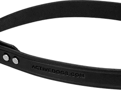 Leather Dog Leash 1"