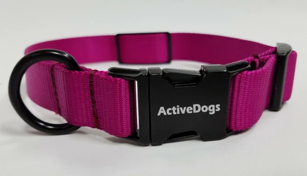 Personalized ID Nylon Dog Collar - 1" - Image 4