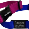 Personalized ID Nylon Dog Collar - 1"