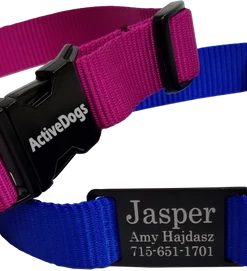 Personalized ID Nylon Dog Collar - 1"