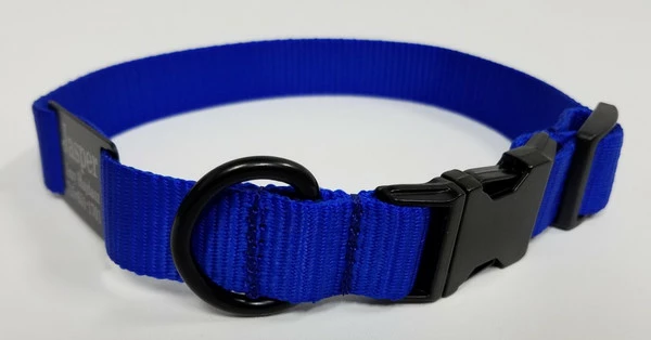 Personalized ID Nylon Dog Collar - 1" - Image 6