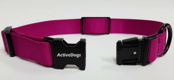 Personalized ID Nylon Dog Collar - 1" - Image 7