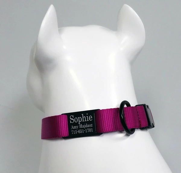 Personalized ID Nylon Dog Collar - 1" - Image 9