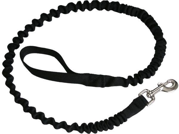 Bungee Leash