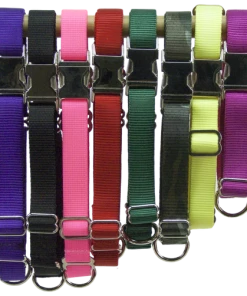 Nylon No-Slip Dog Collar - 1" Martingale