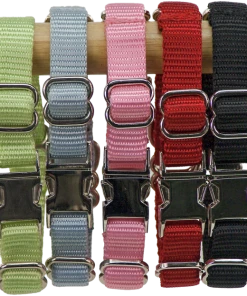 2 Way Adjustable Martingale Dog Collar - 5/8" - Nylon