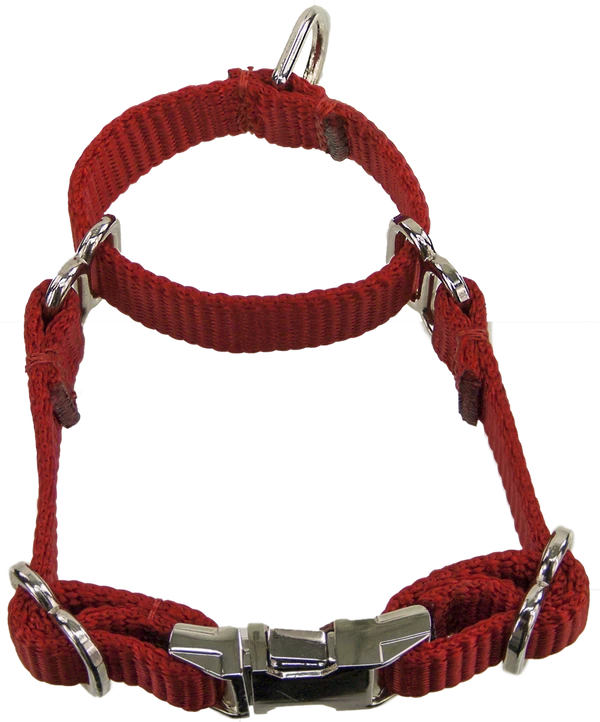 2 Way Adjustable Martingale Dog Collar - 5/8" - Nylon - Image 2