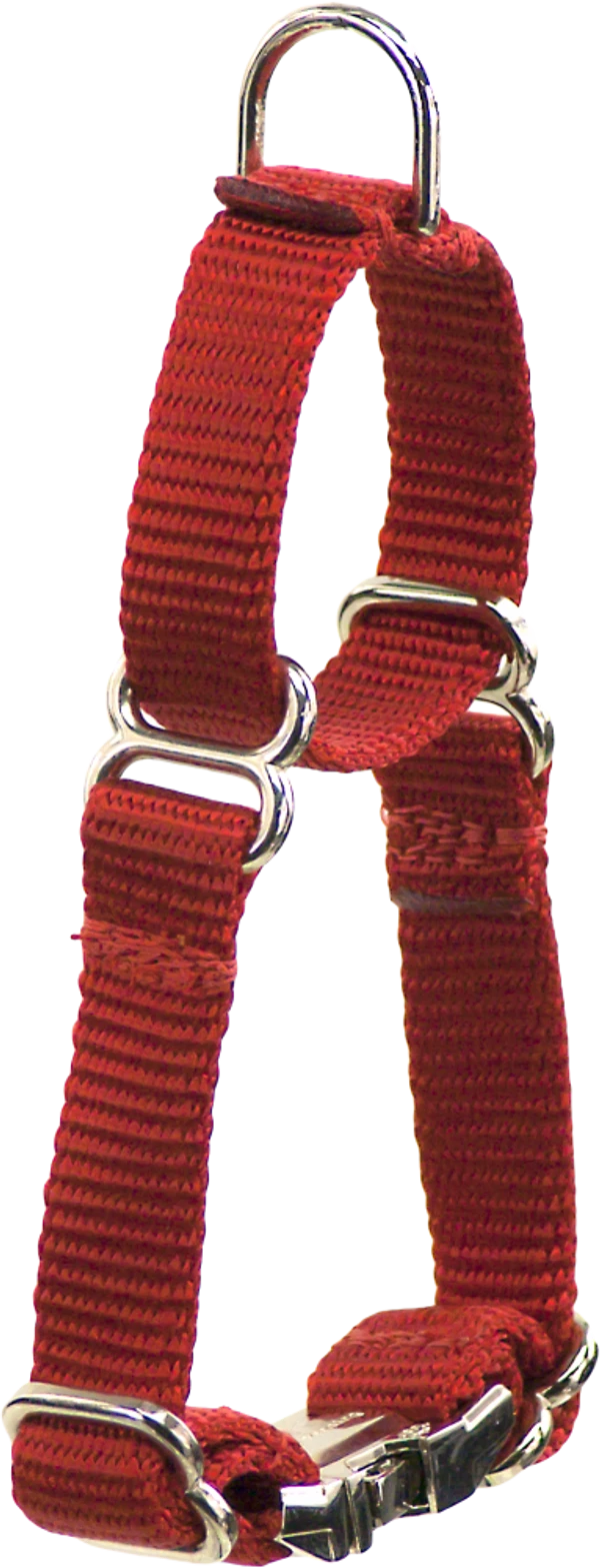2 Way Adjustable Martingale Dog Collar - 5/8" - Nylon - Image 3
