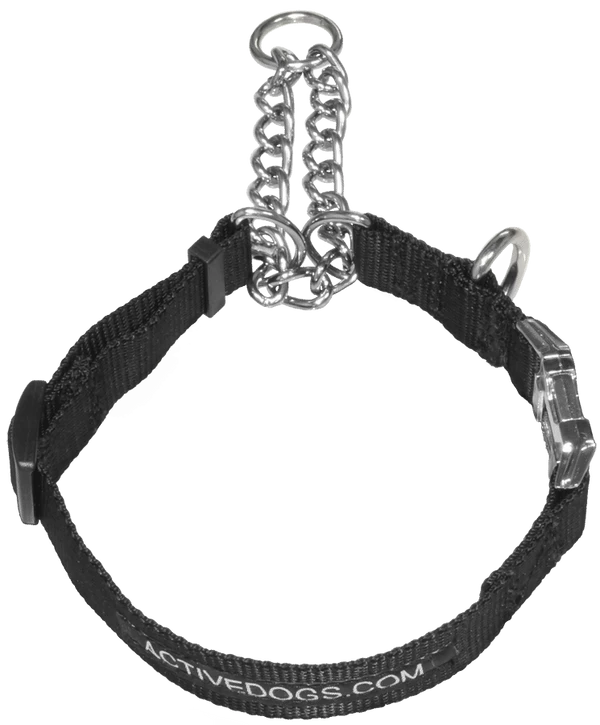 Martingale Training Dog Collar - Image 2