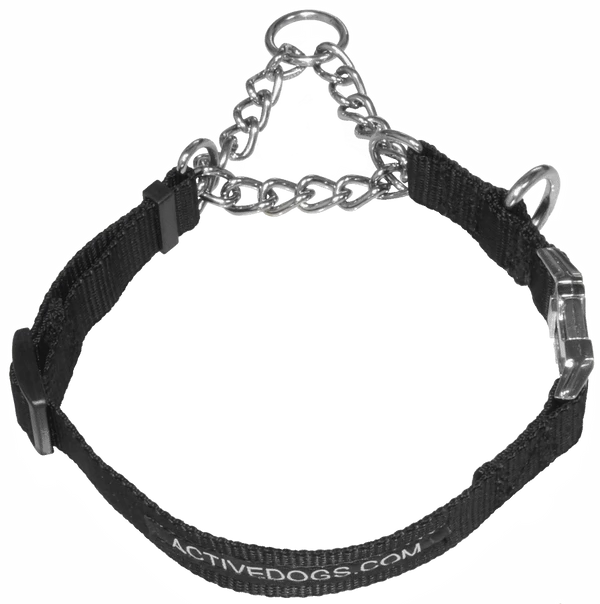 Martingale Training Dog Collar