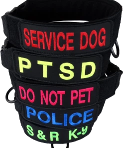 Custom ID Patch Dog Collar