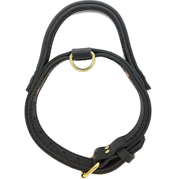 Leather Agitation Dog Collar With Handle