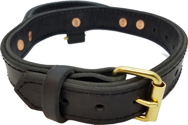 Leather Agitation Dog Collar With Handle - Image 2