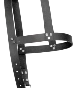 Leather H-Harness
