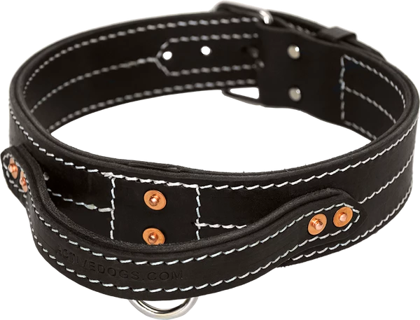 Leather Dog Collar With Handle 2"