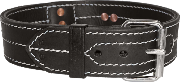 Leather Dog Collar With Handle 2" - Image 3