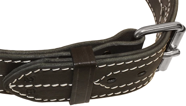 Leather Dog Collar With Handle 2" - Image 4