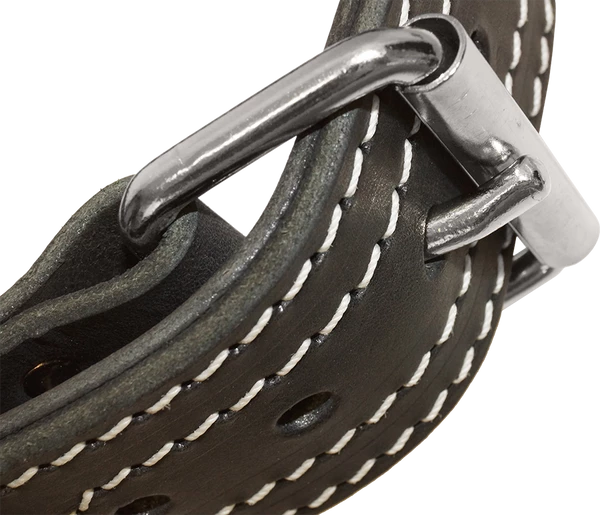 Leather Dog Collar With Handle 2" - Image 6