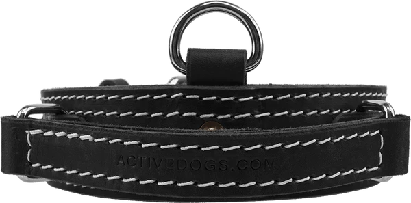Leather Collar With Flat Handle 2" - Image 3
