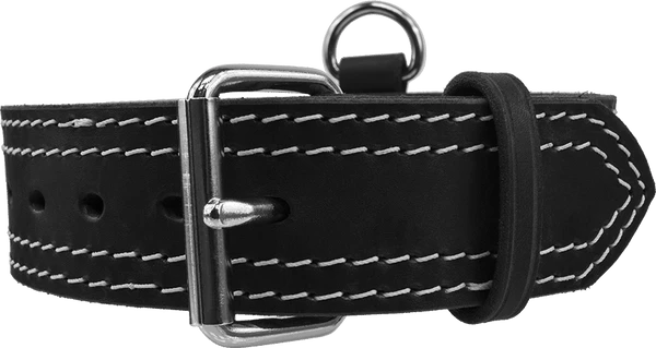 Leather Collar With Flat Handle 2" - Image 4