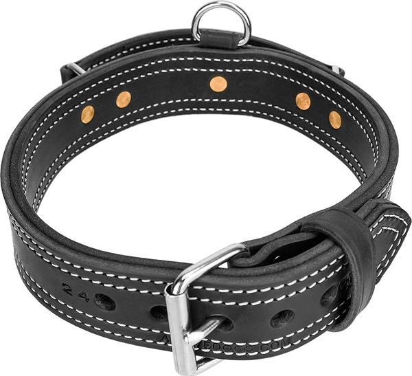 Leather Collar With Flat Handle 2" - Image 5