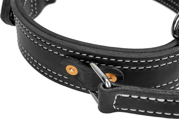 Leather Collar With Flat Handle 2" - Image 6